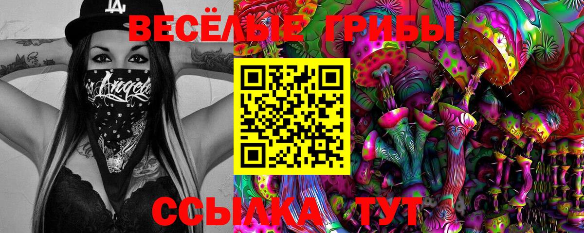 Воркута  хочу   Вход с VPN  Псилоцибиновые грибы Magic Shrooms  Галлюциногенные грибы Psilocybine cubensis 